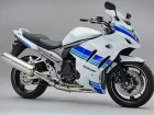 Suzuki GSX 1250 FA-Z Special Edition